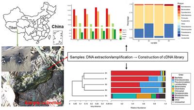 First Report of Fecal Microflora of Wild Bar-Headed Goose in Tibet Plateau